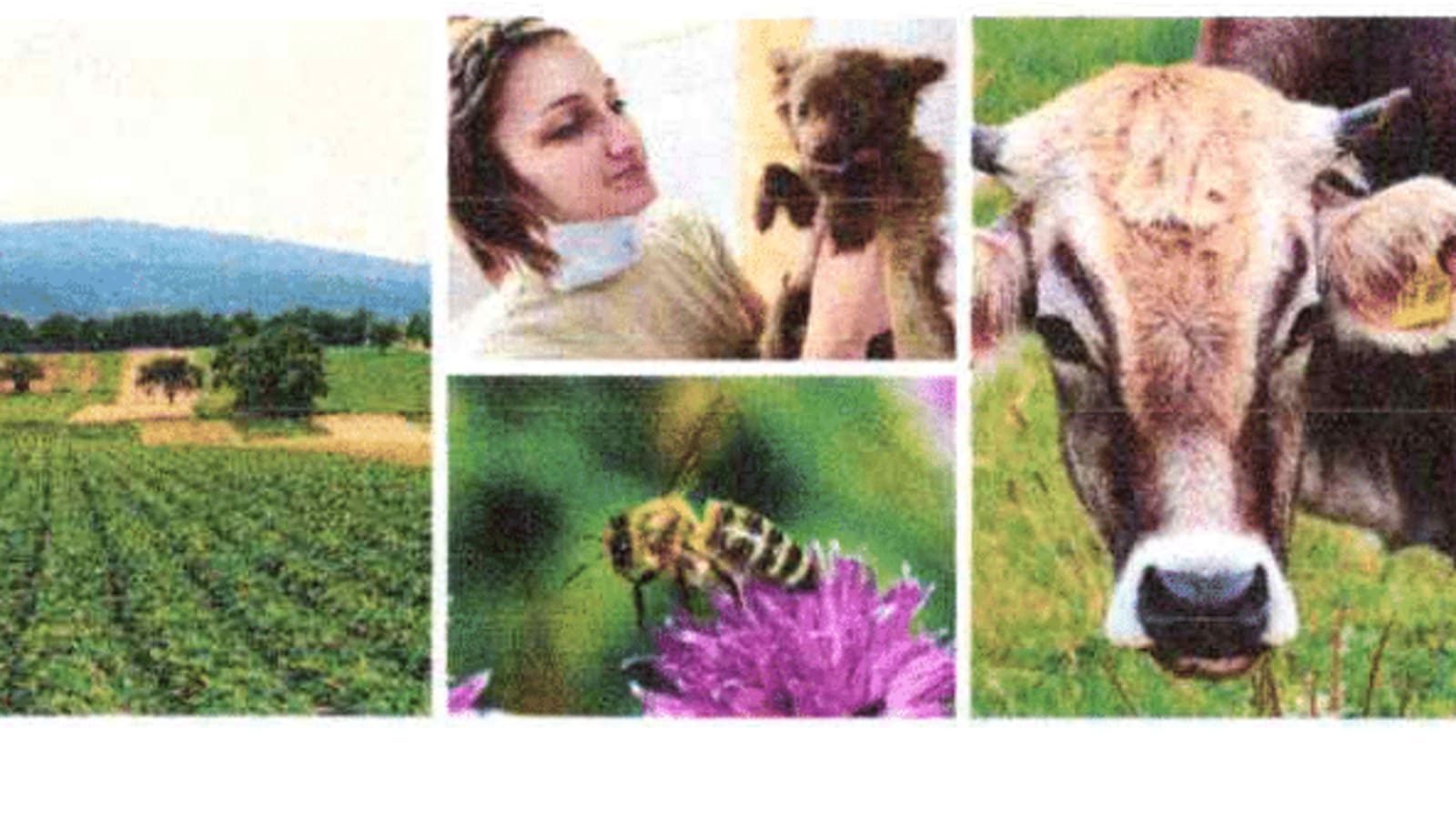 Agriculture